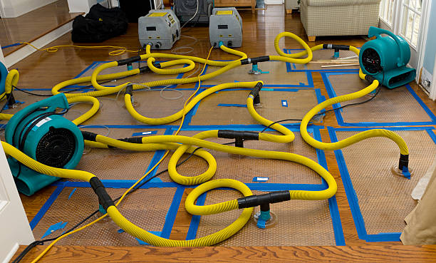Professional Water Damage Repair technician working in Bush, LA